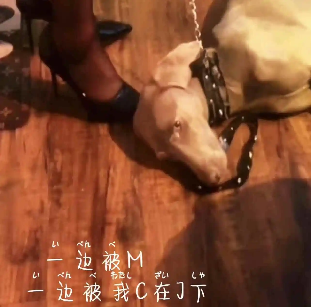 西檬之家Dom是什么?如何理解字母圈中的支配角色? 一