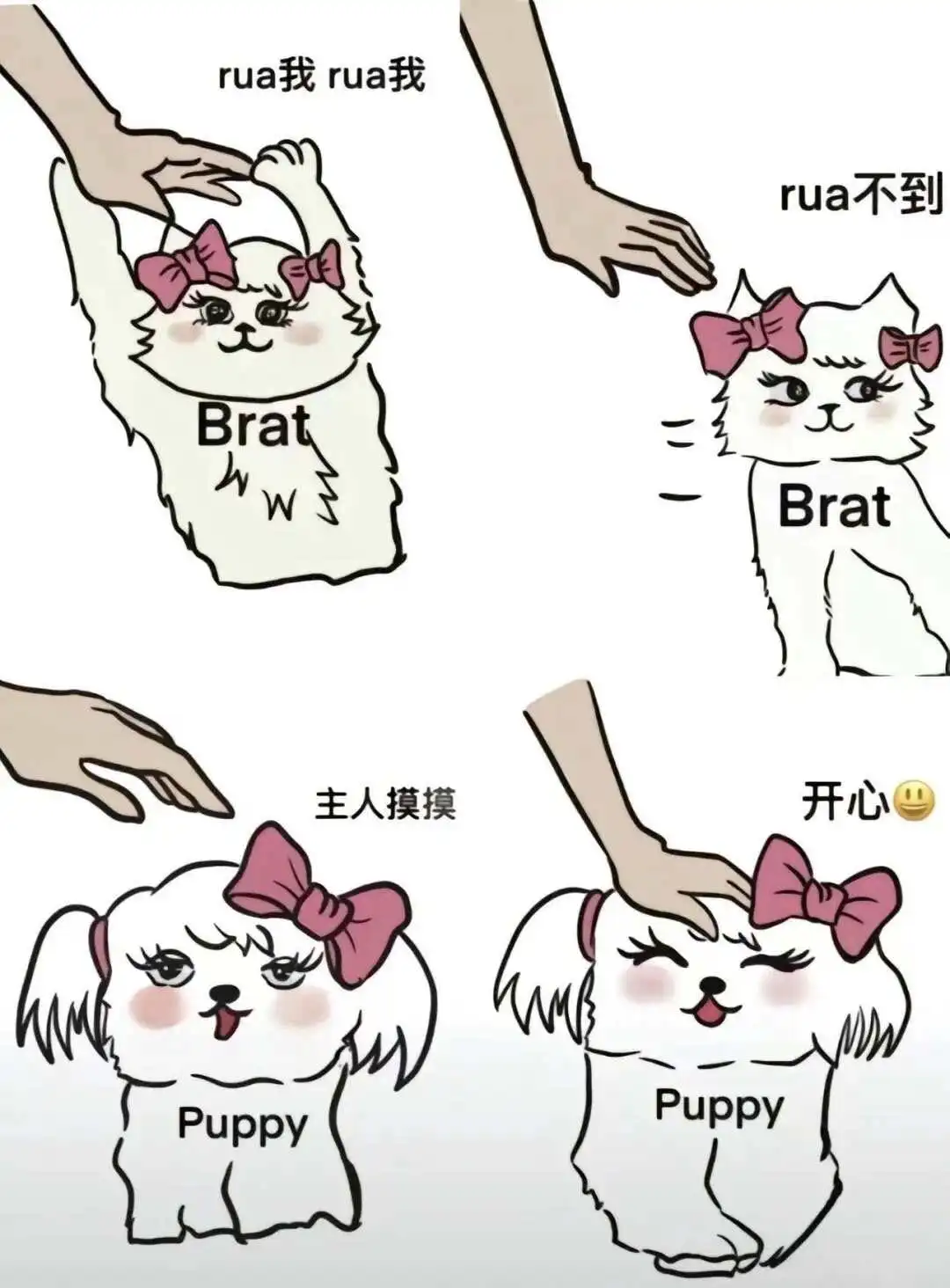 西檬之家BDSM是什么意思?字母圈新人入门必读 一