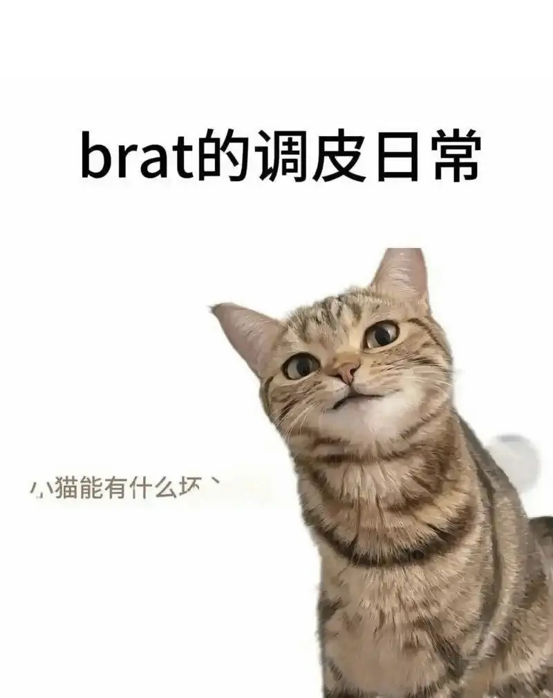 西檬之家字母圈k8是什么? 一