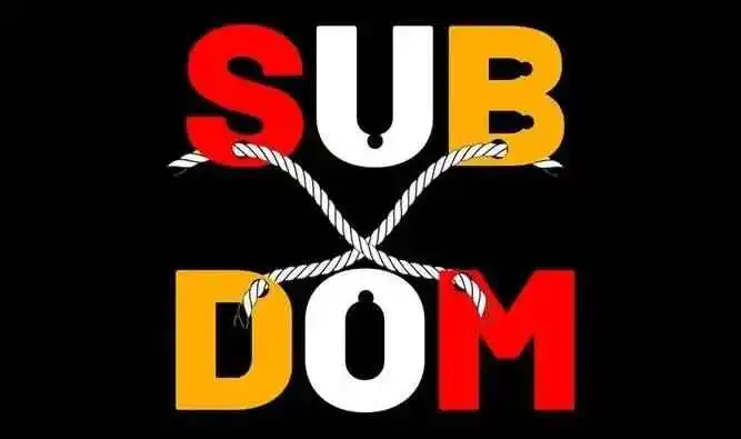 西檬之家BDSM新手入门指南 一
