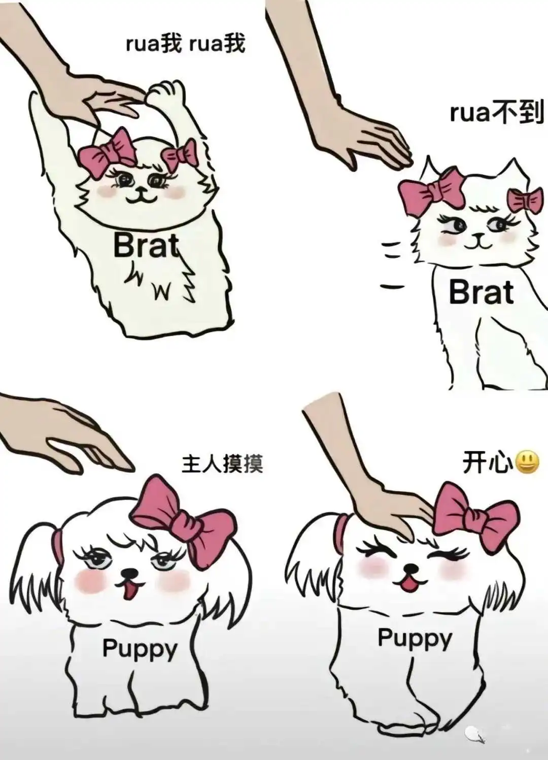西檬之家字母圈brat属性是什么意思? 一