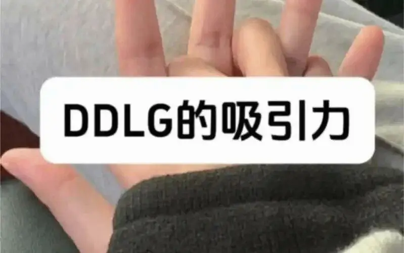 西檬之家k9是什么?你的字母圈角色定位 一