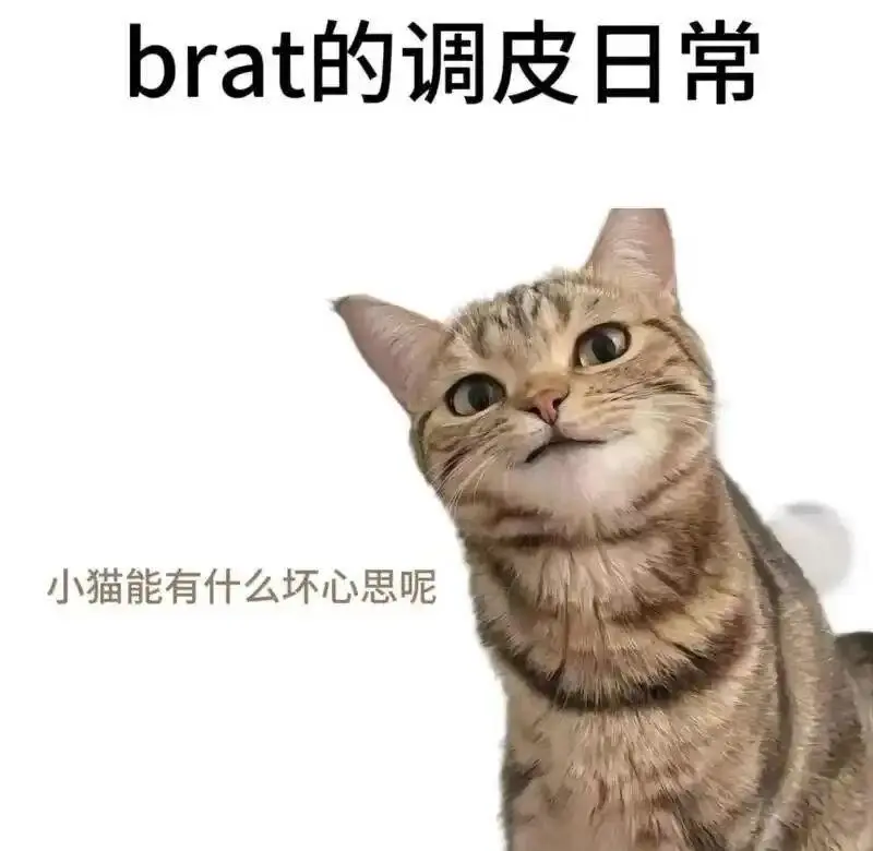 西檬之家字母圈Spank实操指南 一