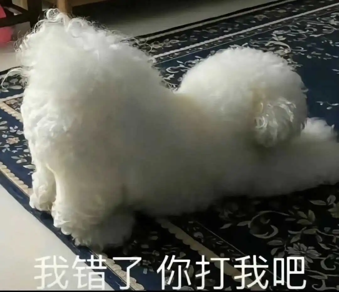 西檬之家字母圈的S属性是什么意思? 一