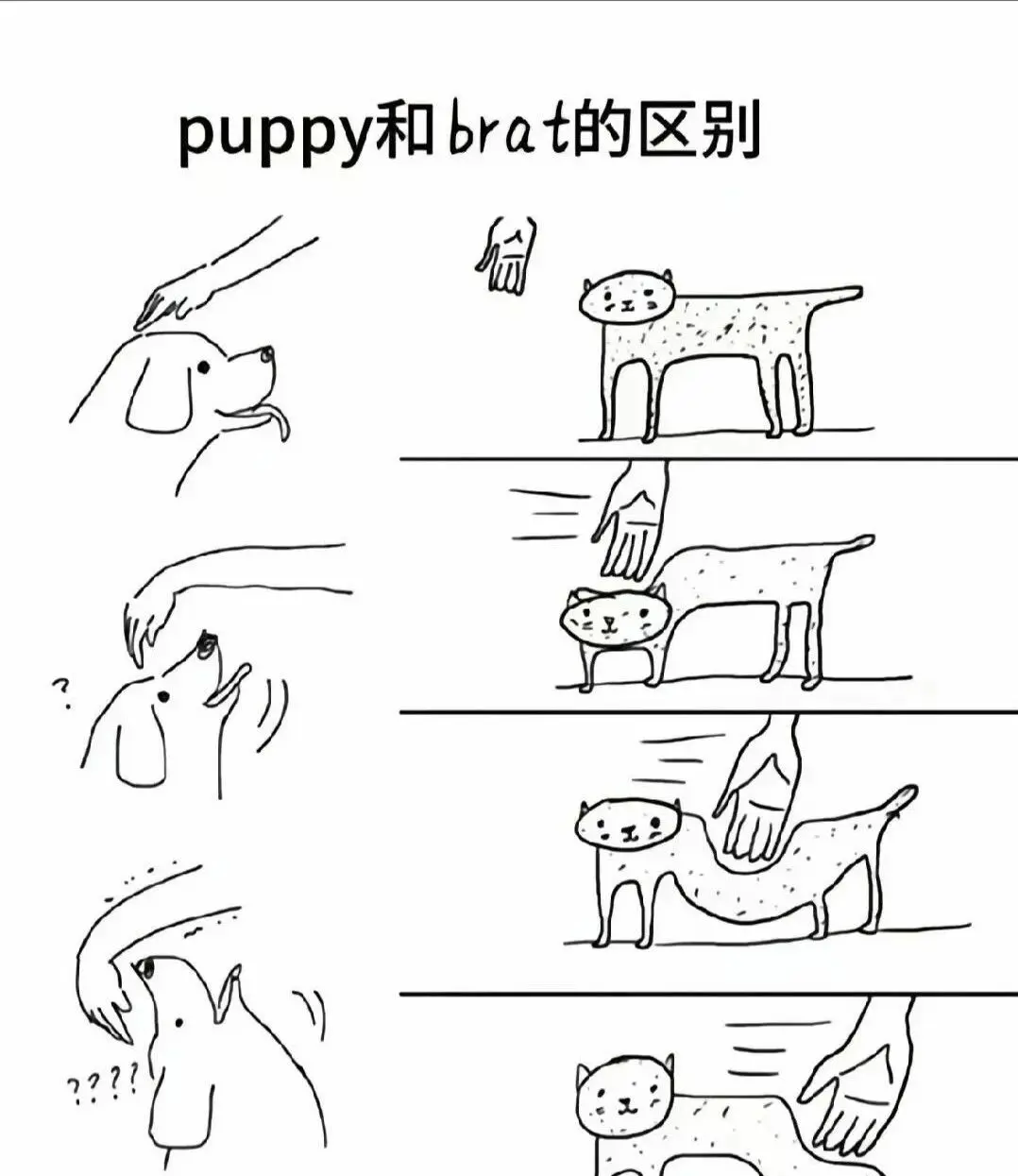 西檬之家字母圈Sp spanking是什么意思? 一